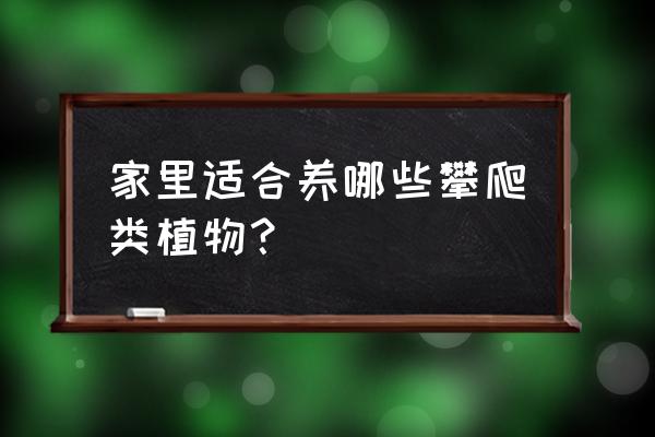 攀爬植物介绍 家里适合养哪些攀爬类植物？