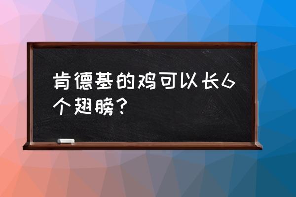 肯德基养鸡场六个翅膀 肯德基的鸡可以长6个翅膀？