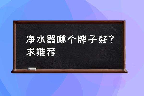 净水器哪家好哪个品牌好 净水器哪个牌子好？求推荐