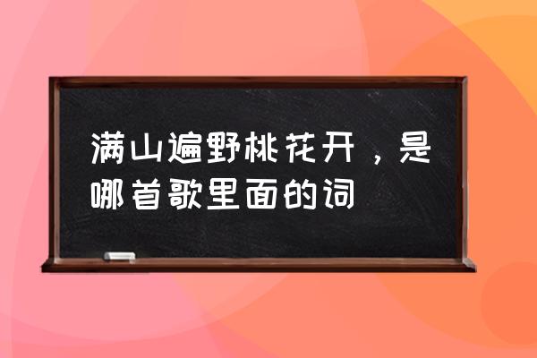 点点滴滴都是爱开头 满山遍野桃花开，是哪首歌里面的词