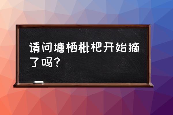 塘栖枇杷2020 请问塘栖枇杷开始摘了吗？