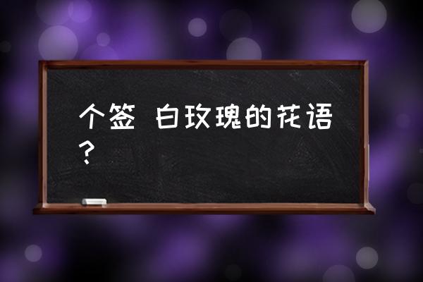 白玫瑰的花语代表着什么 个签 白玫瑰的花语？