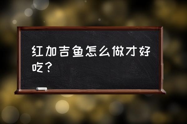 红加吉鱼的家常做法 红加吉鱼怎么做才好吃？