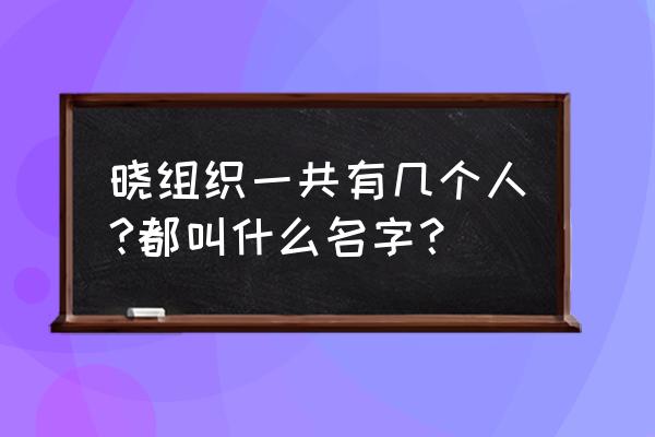 晓组织最全历代成员名单 晓组织一共有几个人?都叫什么名字？