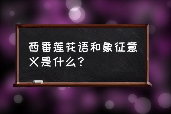 西番莲花的寓意 西番莲花语和象征意义是什么？