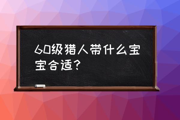 魔兽世界怀旧lr宝宝 60级猎人带什么宝宝合适？