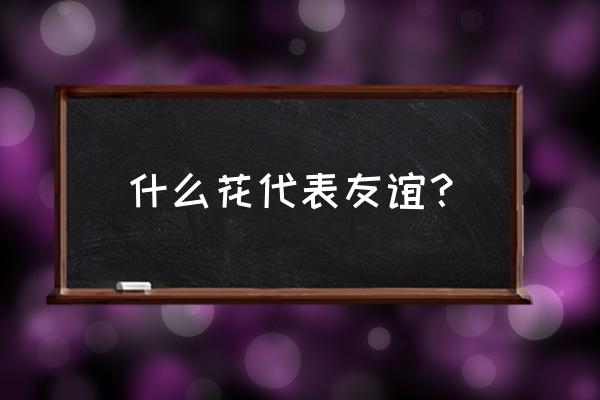 有什么花是代表友谊的 什么花代表友谊？