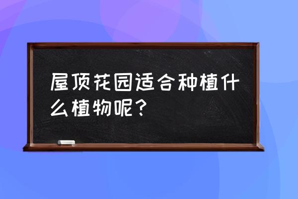 屋顶花园植物配置 屋顶花园适合种植什么植物呢？