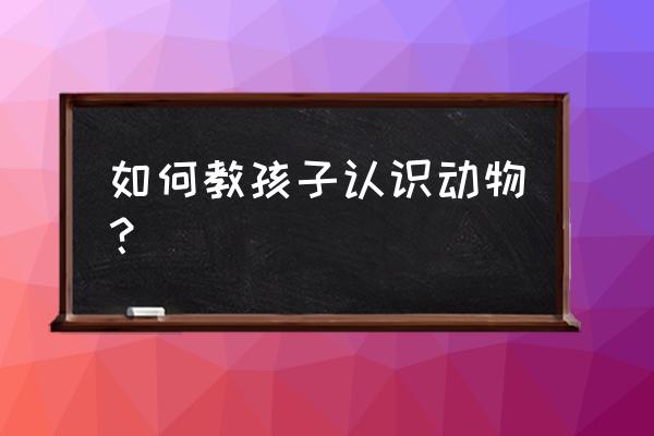 儿童早教认识动物 如何教孩子认识动物？