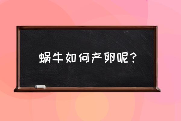 蜗牛产卵还是产蛋 蜗牛如何产卵呢？