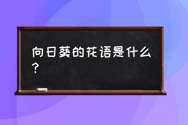 向日葵的花语是什么呀 向日葵的花语是什么？