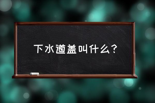 下水道井盖叫什么名字 下水道盖叫什么？