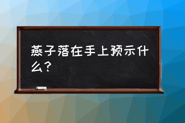 女人梦见燕子 燕子落在手上预示什么？