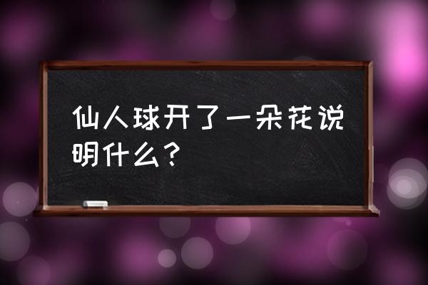 仙人球开花寓意着什么含义 仙人球开了一朵花说明什么？