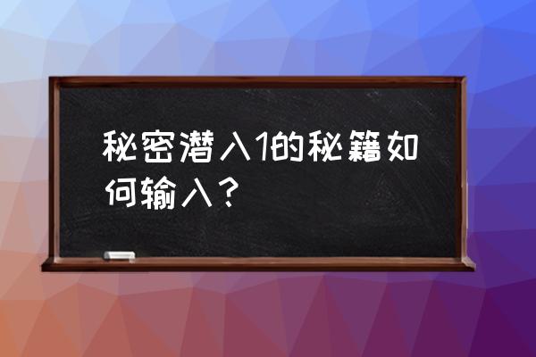 秘密潜入1作弊码 秘密潜入1的秘籍如何输入？