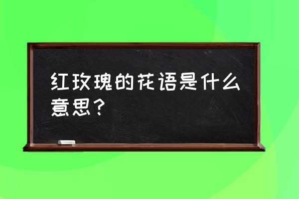 红玫瑰的花语代表什么 红玫瑰的花语是什么意思？