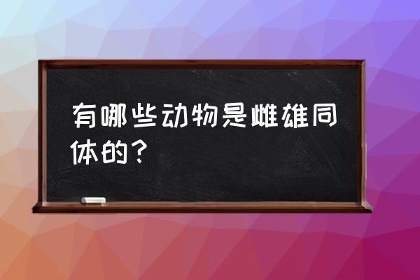 雌雄同体的动物 有哪些动物是雌雄同体的？