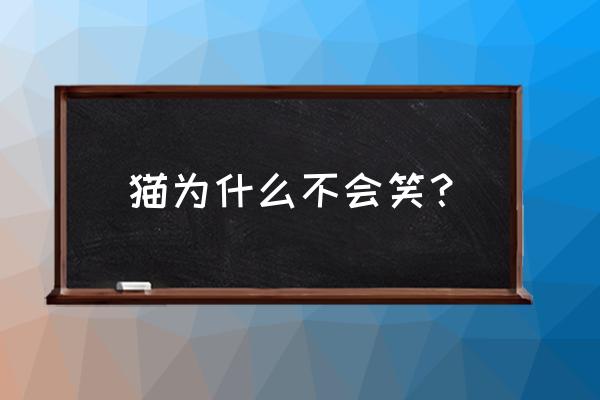 猫不会微笑在哪个服 猫为什么不会笑？