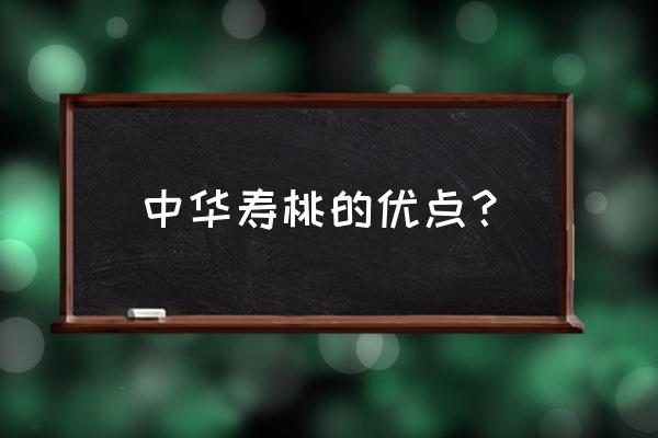 中华寿桃最大几斤 中华寿桃的优点？