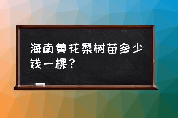 海南黄花梨树苗一颗多少钱 海南黄花梨树苗多少钱一棵？