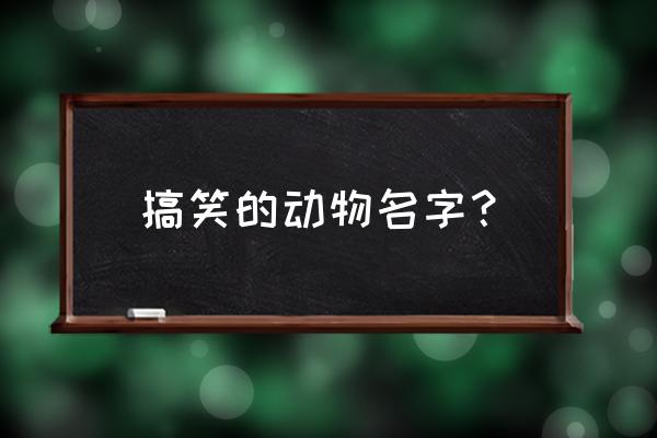 动物搞笑名字 搞笑的动物名字？