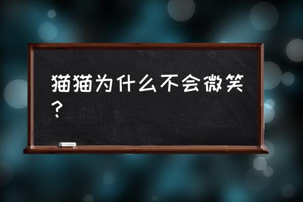 猫不会微笑nga 猫猫为什么不会微笑？