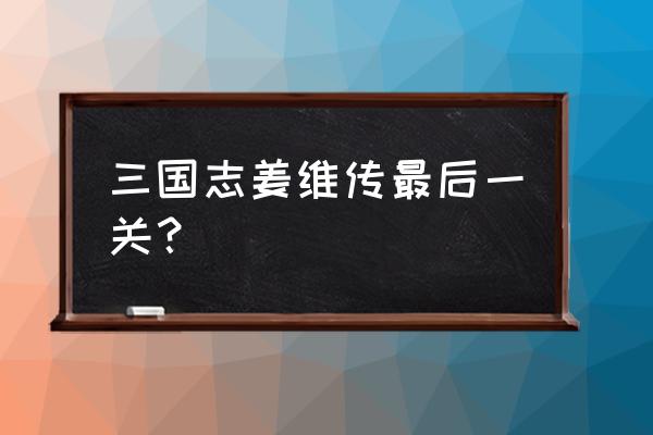 三国志姜维传详细攻略 三国志姜维传最后一关？