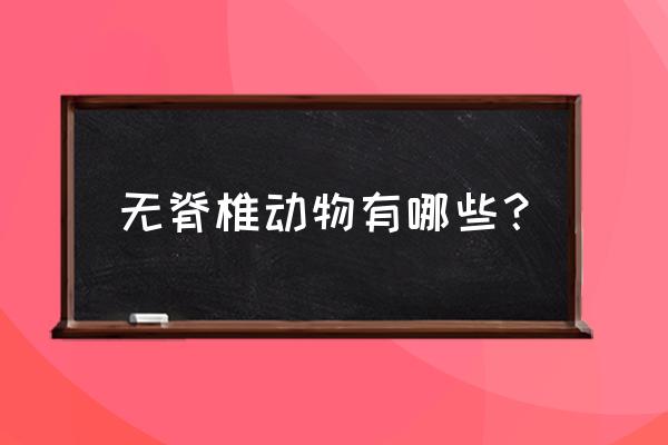 无脊椎动物 无脊椎动物有哪些？