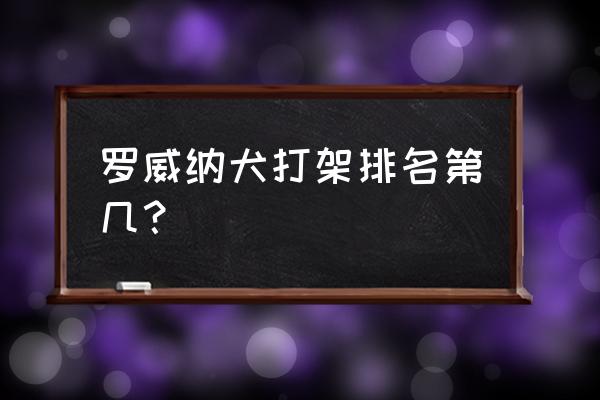 罗威纳犬打架排名第几 罗威纳犬打架排名第几？