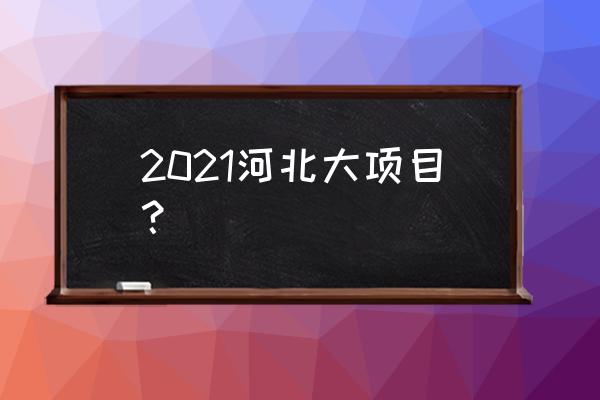 2020河北新建项目 2021河北大项目？