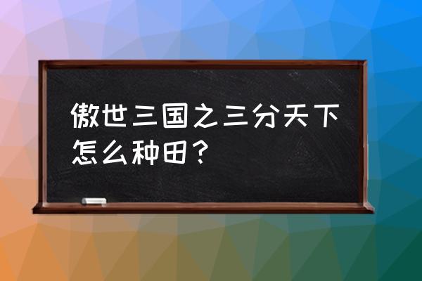 傲世三国3 傲世三国之三分天下怎么种田？