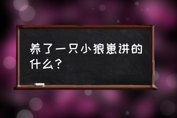 养了一群狼崽子np 养了一只小狼崽讲的什么？