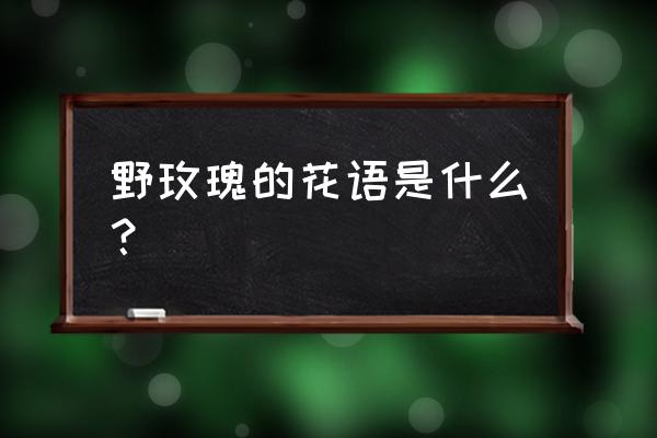 野玫瑰花花语 野玫瑰的花语是什么？