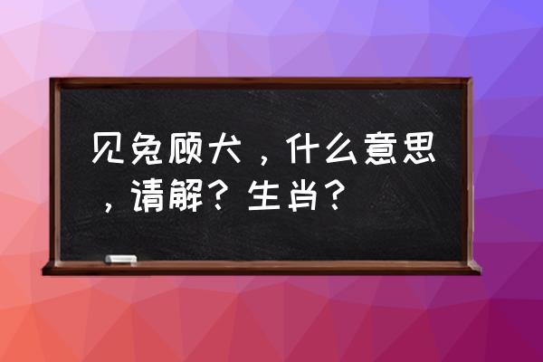 见兔顾犬解生肖 见兔顾犬，什么意思，请解？生肖？