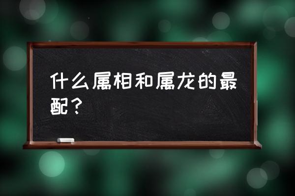 属龙的女人和什么属相最配 什么属相和属龙的最配？