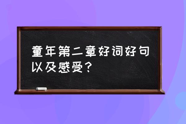 巜童年好词好句感受 童年第二章好词好句以及感受？