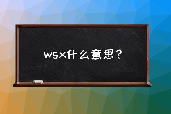 ws有x是什么意思 wsx什么意思？