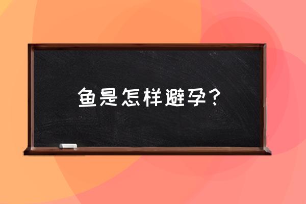 鱼泡那么小怎么避孕 鱼是怎样避孕？