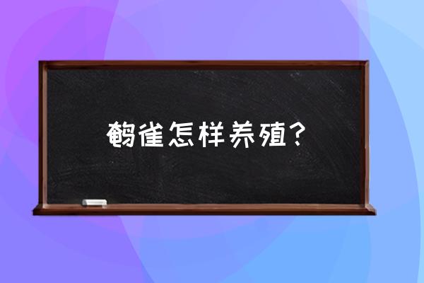 鹌鹑的养殖方法和注意事项 鹌雀怎样养殖？