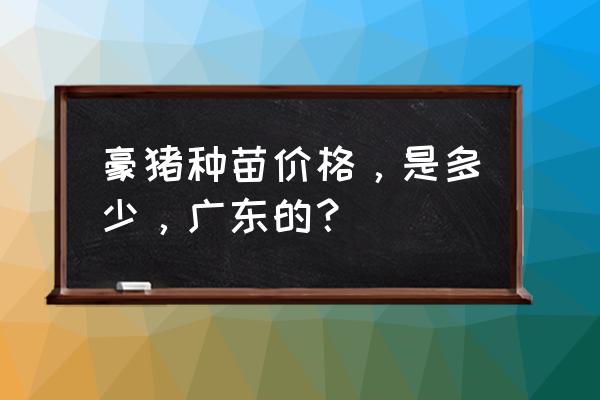 豪猪种苗多少钱一只 豪猪种苗价格，是多少，广东的？