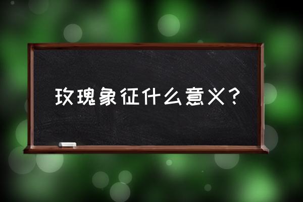 玫瑰代表什么象征意义 玫瑰象征什么意义？