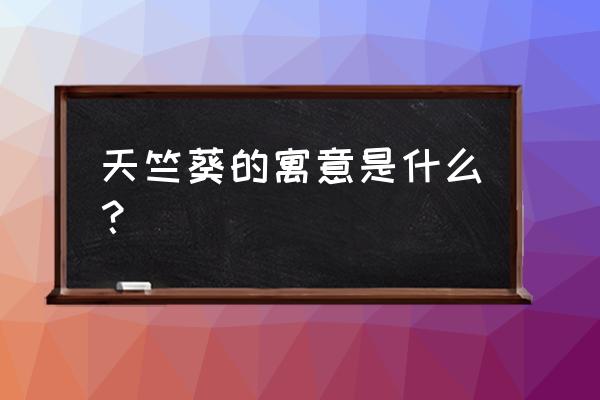 天竺葵的寓意 天竺葵的寓意是什么？