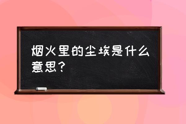 烟火里的尘埃啥意思 烟火里的尘埃是什么意思？