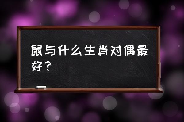 生肖鼠最佳配对属相 鼠与什么生肖对偶最好？