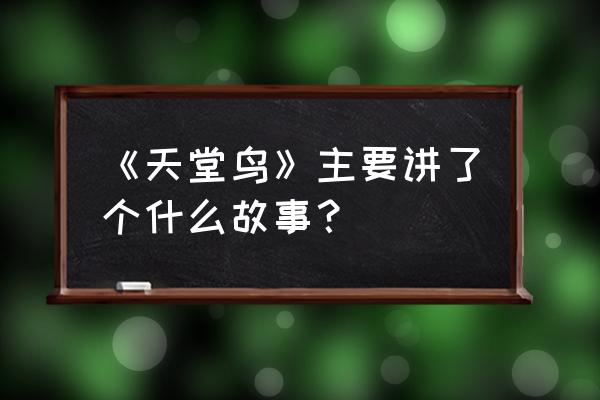 天堂鸟花语和传说 《天堂鸟》主要讲了个什么故事？