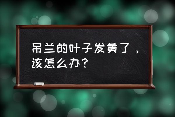 吊兰叶子黄了怎么处理 吊兰的叶子发黄了，该怎么办？