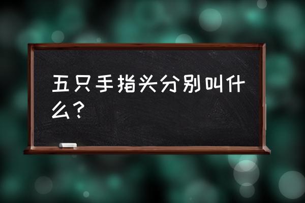 五根手指的名称 五只手指头分别叫什么？