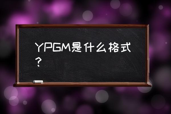 易达清单大师咨询 YPGM是什么格式？