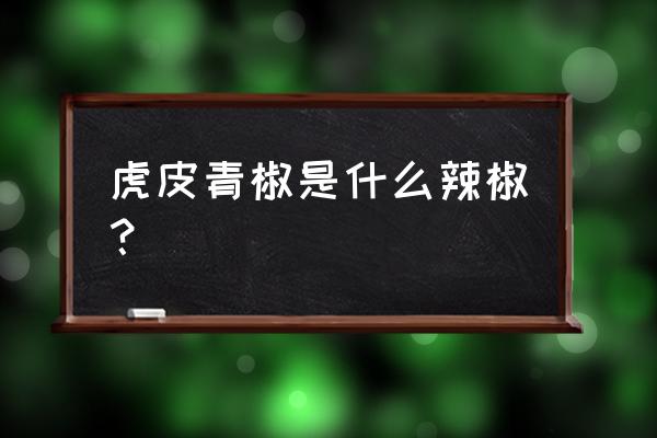 虎皮青椒是哪种青椒 虎皮青椒是什么辣椒？