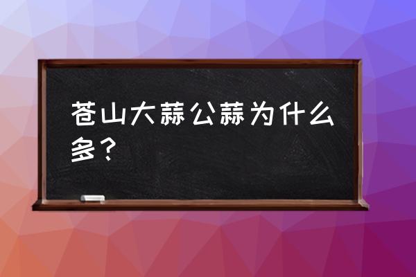 中国大蒜之乡 苍山 苍山大蒜公蒜为什么多？